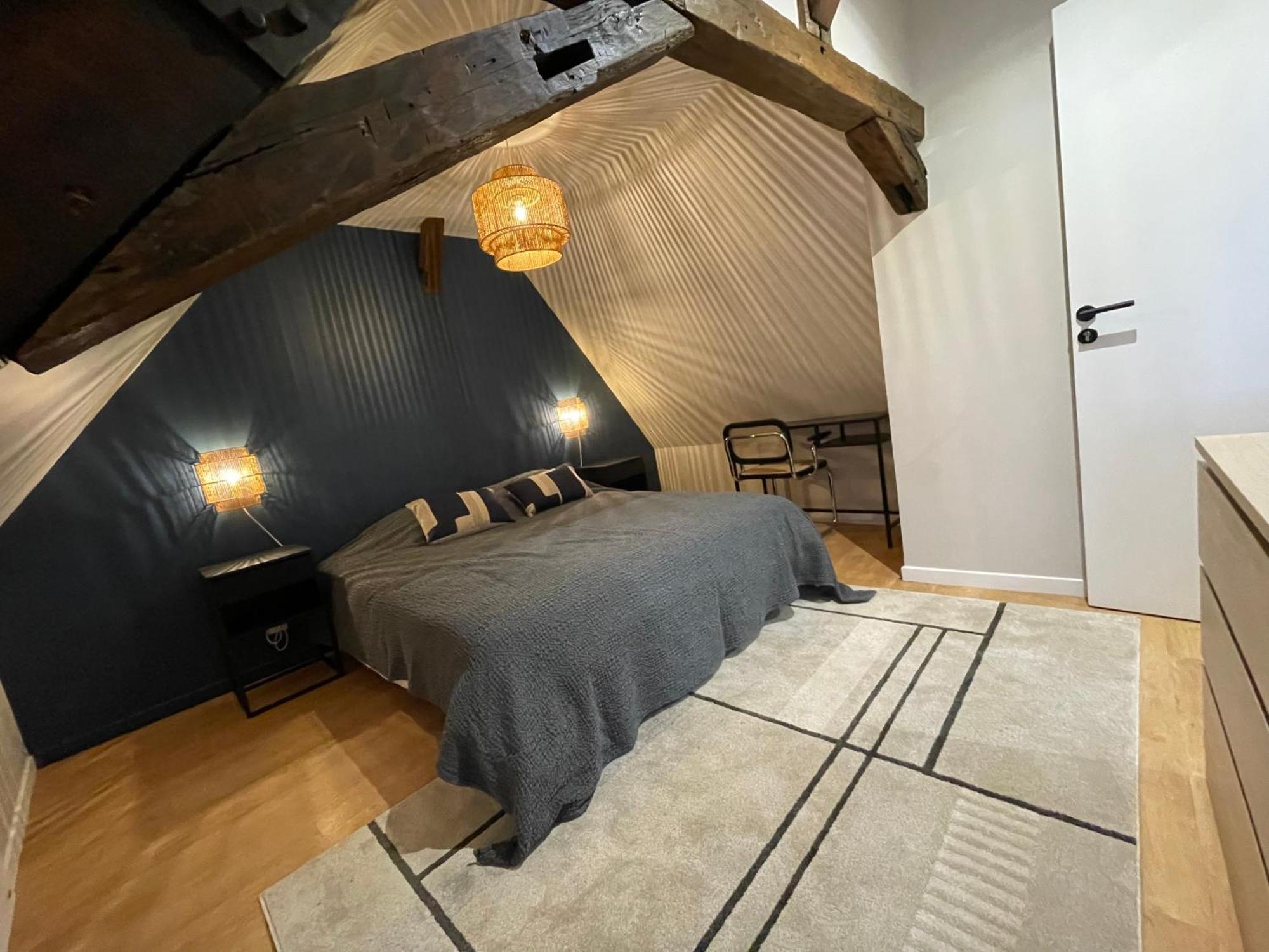 Le Petit Chateau Du Docteur Cambournac ブールジュ エクステリア 写真